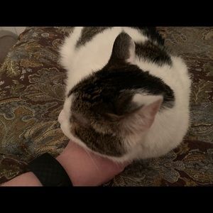 Meet your Posher, Lily